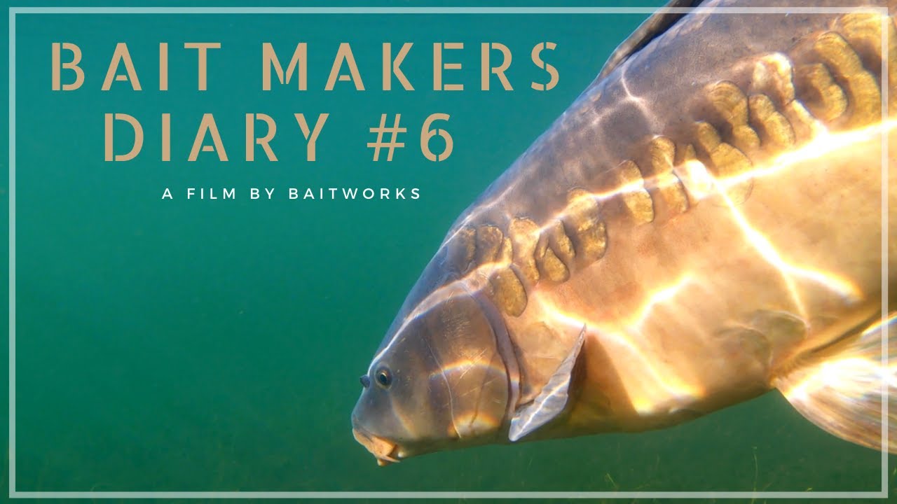 A Bait Makers Diary # 6